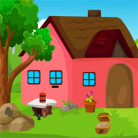 Games4King Goose Bird Rescue 2