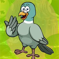 G4K Graceful Pigeon Escape