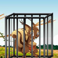 Free online flash games - G2M Nutty Trap Escape