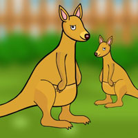 Free online flash games - Save the Trapped Roo