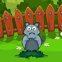 Free online flash games - Feed the Gray Squirrel