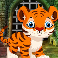 Games4King Cute Tiger Cub Rescue