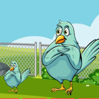 Free online flash games - G2M Bird Feeding Girl Escape