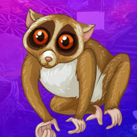 G4K Slender Loris Escape