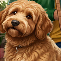 Free online flash games - Happy Tails Home