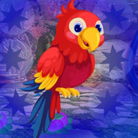 G4K Macaw Parrot Escape