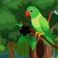 Free online flash games - G2M Hen House Escape