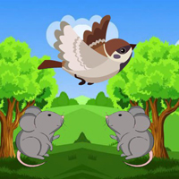 Free online flash games - Wow Sparrow Meets Crow Buddies
