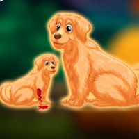 Free online flash games - Help the Wounded Golden Retriever Puppy