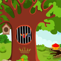 Games4King Macaw Bird Escape From Cage 