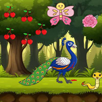 Free online flash games - Wow Care Of The Hurt Peacock