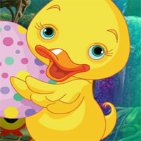 G4k Infant Duck Rescue