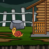 Free online flash games - Unlock the Monkeys Cage
