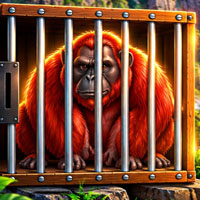 Free online flash games - Escape of the Caged Red Orangutan