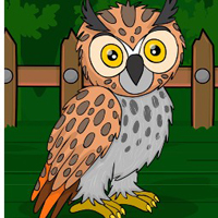 G2J Long Eared Owl Escape