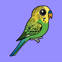 Free online flash games - Help The Budgerigar From Cage