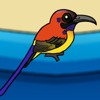 Free online flash games - G2J Release the Sunbird from Cage