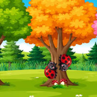 Free online flash games - Cute Snail Rescue