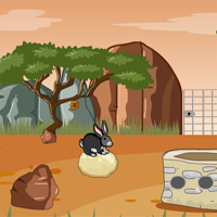 Bunny Forest Escape