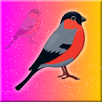 Free online flash games - Eurasian Bullfinch Rescue