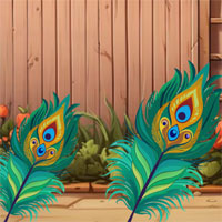 Free online flash games - G2M Peacock Family Escape