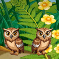 Free online flash games - G2M Woodland Owl Escape