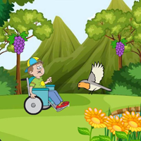 Free online flash games - Physically Challenged Boys Reach Home