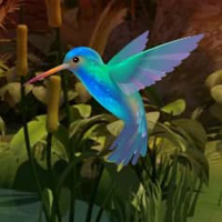 Doctor Bird Forest Escape HTML5