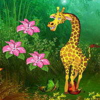 Giraffe Escape From Fantasy Land