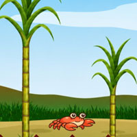 Free online flash games - Sparkle Caterpillar Rescue