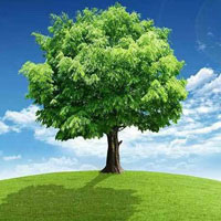 Nature Grass Land Escape HTML5