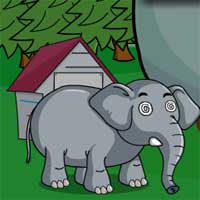 Play Games2Jolly Cute Baby Elephant Rescue Game-Play Free Hidden Objects Games-Hiddenogames