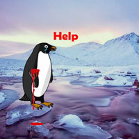 Free online flash games - Heal The Wounded Penguin