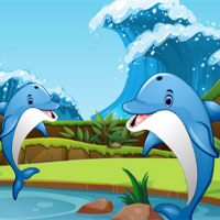 Dolphin Dice Race